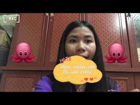 These squids can fly...no,really🤔🧐