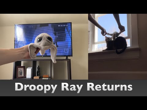 Droopy Ray vs Cairo in A Window Smackdown