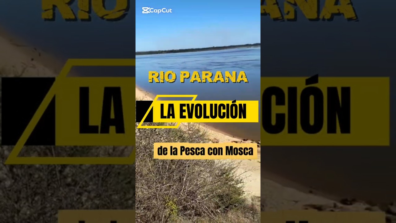 Ver video ParanaFly