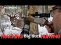 Tracking Down A Big Buck On Snow Big Woods