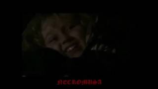 Big Electric Cat-Orchid Dreaming