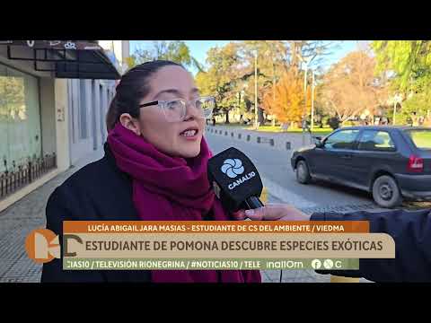 Lucía, la joven estudiante de Pomona que revoluciona Viedma con el hallazgo de una especie exótica