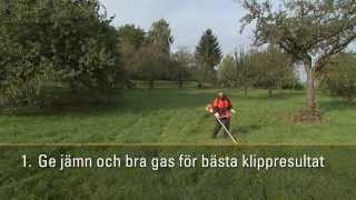 Klippteknik grunderna, med Röjsåg eller trimmer. Bästa användning. Instruktion och guide från STIHL