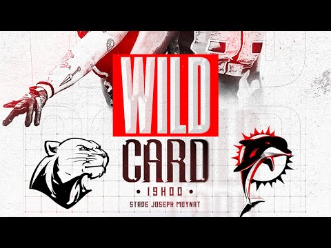 D1 Élite 2024 - WILD CARD 1 - BLACK PANTHERS - DAUPHINS