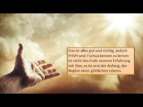 Thora, der Baum des Lebens