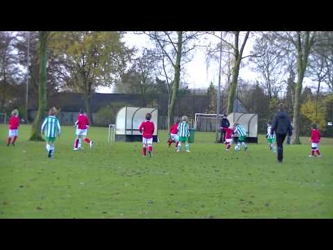 Mifano F1 - SV Brandevoort F1