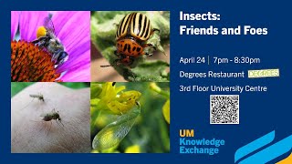 UM Knowledge Exchange - Insects: Friends and Foes