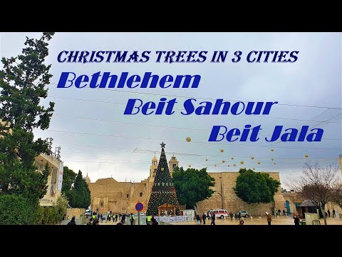 شجرات عيد الميلاد 2020 في مدن بيت لحم وبيت ساحوروبيت جالا | Christmas Trees2020 in3 Different Cities