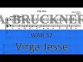 Bruckner WAB 52 (Virga Jesse)
