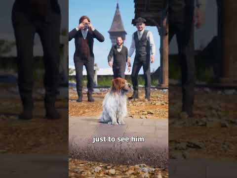 The Dog Who Guarded The Grave 😢