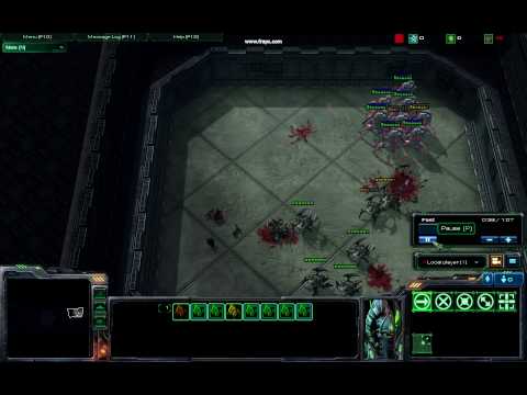 Stalker vs. Roach micro arena: FLAWLESS VICTORY