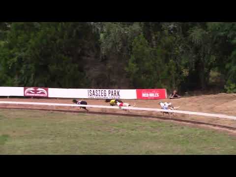 Race 9 Federation Trophy - A2  485m