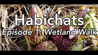 Habichats: Wetland Walk