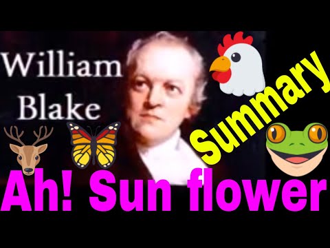 Summary of Blake's Poem "Ah! Sun flower"