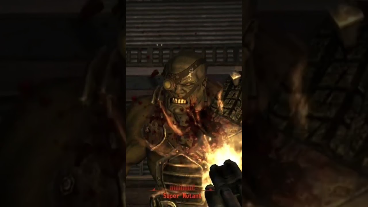 No Mutants allowed II 🐻 #fallout #newcaliforniarepublic #falloutnewvegas