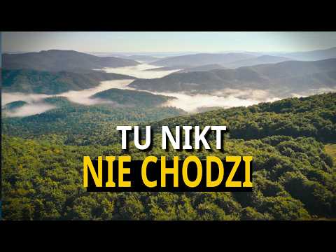 Sam w Bieszczadach – 3 szczyty, 0 turystów, 100% ciszy