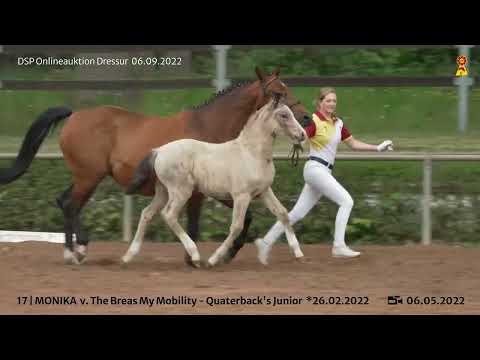 17 The Breas My Mobility Quaterbacks Junior