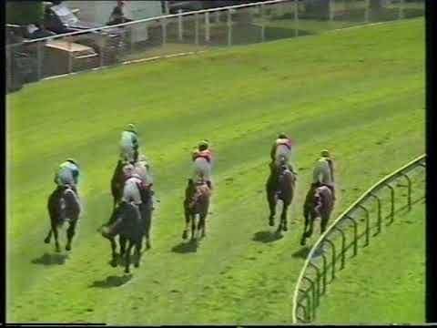 1991 P J O"Shea Stakes