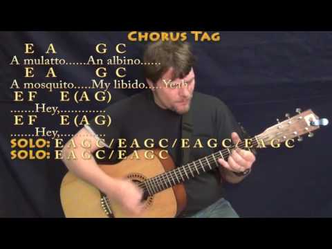 download lagu mp3 mp4 Smells Like Teen Spirit Lyrics And Chords, download lagu Smells Like Teen Spirit Lyrics And Chords gratis, unduh video klip Smells Like Teen Spirit Lyrics And Chords