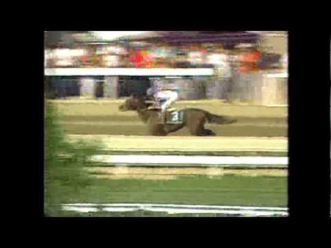 Cigar - Massachusetts Handicap 1996