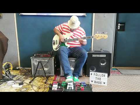 White Home Special Jazz Bass/Hartke TX600/HX112/HD500