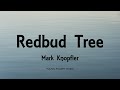 Mark Knopfler - Redbud Tree (Lyrics) - Privateering (2012)