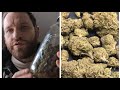 Juicy Fruit Thca Small Buds Cheap Hemp Flower 150 QP Yowza