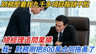 財務壓着我九千多的項目報銷不批，總經理追問業績，我：財務剛把八百萬合同拖黃了#奇聞#案件#真相#職場#職場文化#故事#完結爽文#情感故事