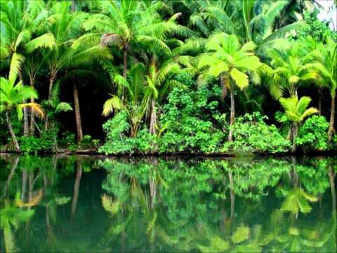 waikatakata vure e delai ni nuku vula - samo laleale