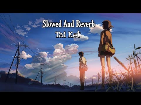 Tai Kot | Slowed And Reverb | Chill Song ✨.