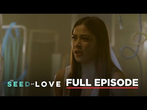 The Seed Of Love: Finale Full Episode 79 (August 25, 2023)
