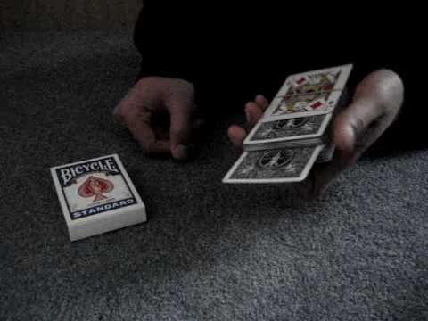 Bound to Fool by Jay Sankey