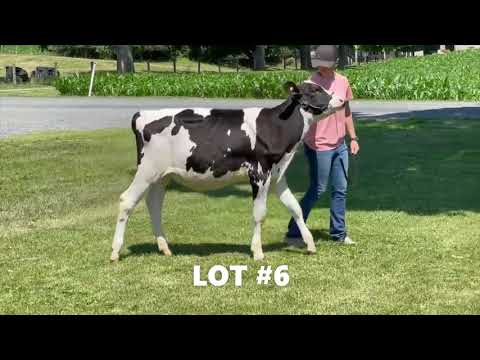 Anna Bell Video Final 6 2021