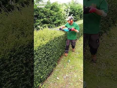 SINGLE SIDED Hedge Trimmer #shorts