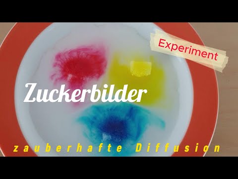 Explore with us! Sugar Pictures: Enchanting Diffusion - Checky December 2023