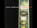 Peter Frampton - Souvenirs de Nos Pères (Memories of Our Fathers)