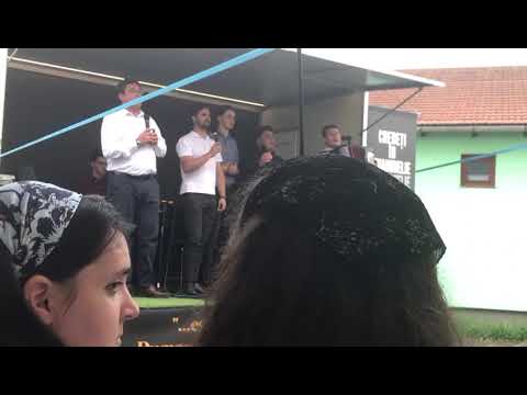 Beni Cibu și Grupul de tineri - O creste-mi iubirea, în inima mea