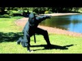 E3 2011 Fruit Ninja Kinect Trailer Xbox 360 Kinect