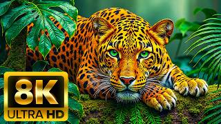 🌿 JUNGLE ANIMALS LIFE 8K (60FPS) – Calm Wildlife in the Heart of the Jungle