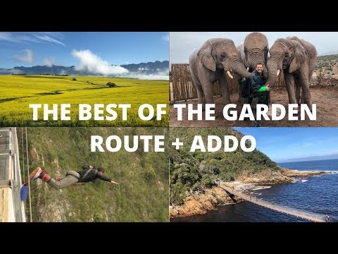 The Best of the Garden Route + Addo, South Africa