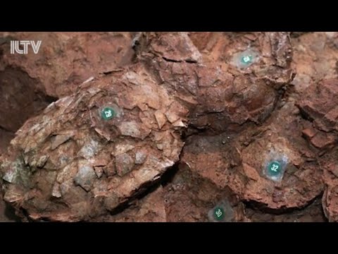 Israeli researchers discover the truth about the dinosaurs