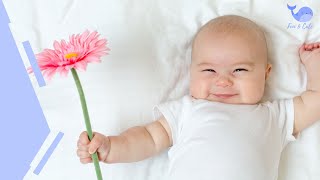 Weekly Moments of Cuteness 😍  | Cute Baby Funny Moments | 2021