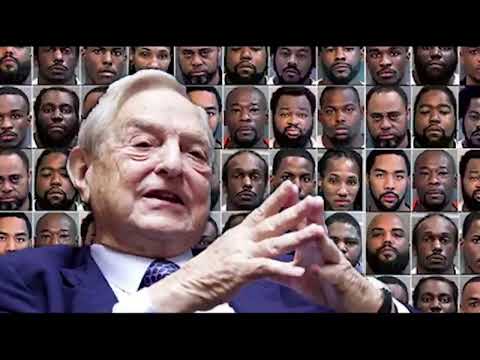 Bishop Richard Williamson