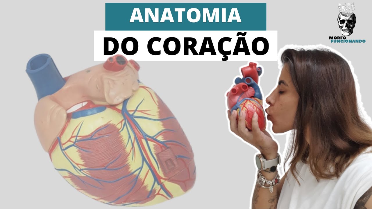 ANATOMIA DO CORAÇÃO (MORFOLOGIA CARDÍACA) #2