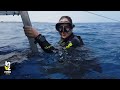 Cyprus Diving Promo 2023 4K