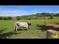 Curso Administração da Pequena Empresa Rural