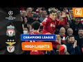 EEN MOOI DOELPUNTENFESTIJN! ⚽️? | Liverpool vs Benfica | Champions League 2021/22 | Samenvatting