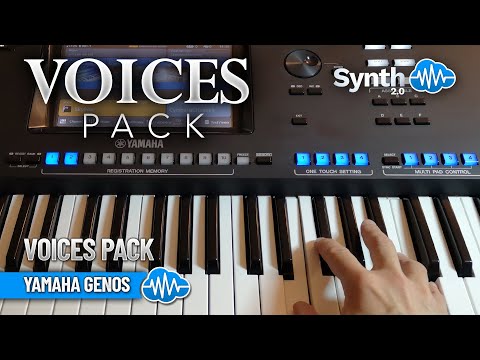 GNL015 - Complete Collection V1 - Yamaha GENOS / 2 - Video Preview 8