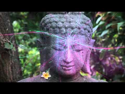 Introduction: A Treatise on Cosmic Fire