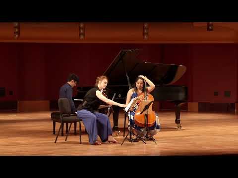 Merz Trio, Senior Division Strings/Piano, Gold Medal Winner